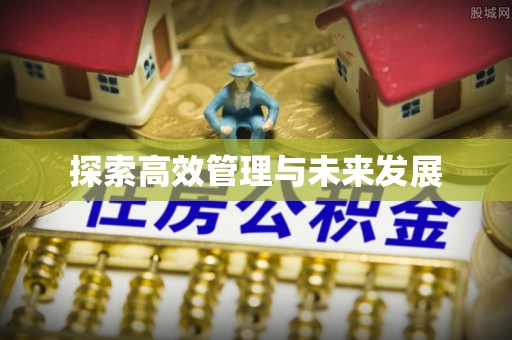 合山探索高效管理与未来发展