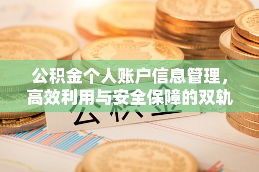 合山公积金个人账户信息管理，高效利用与安全保障的双轨并行
