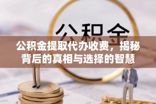 合山公积金提取代办收费，揭秘背后的真相与选择的智慧