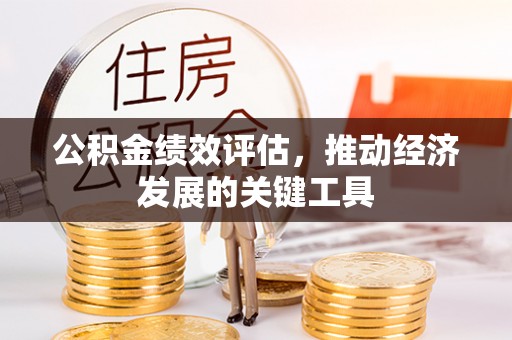 合山公积金绩效评估，推动经济发展的关键工具