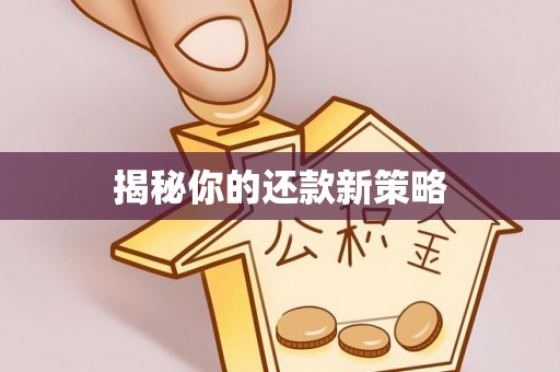 合山揭秘你的还款新策略