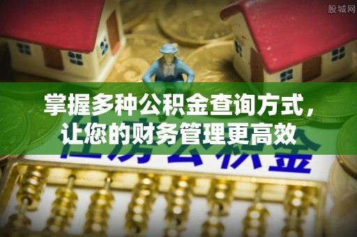 合山掌握多种公积金查询方式，让您的财务管理更高效