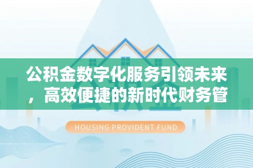 合山公积金数字化服务引领未来，高效便捷的新时代财务管理