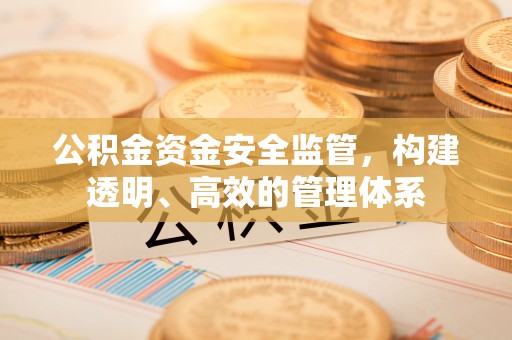 合山公积金资金安全监管，构建透明、高效的管理体系