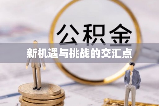 合山新机遇与挑战的交汇点