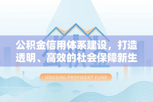 合山公积金信用体系建设，打造透明、高效的社会保障新生态
