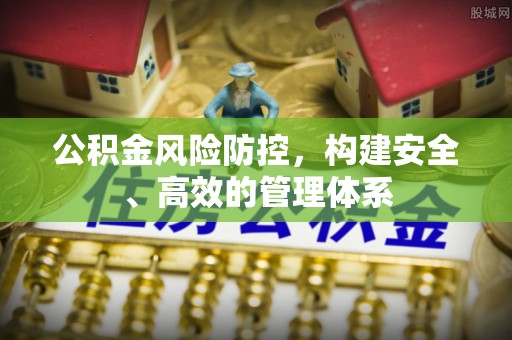 合山公积金风险防控，构建安全、高效的管理体系