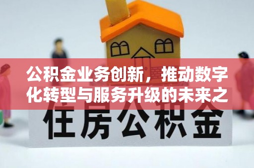 合山公积金业务创新，推动数字化转型与服务升级的未来之路