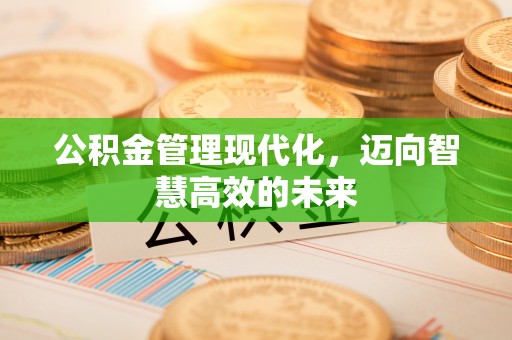 合山公积金管理现代化，迈向智慧高效的未来