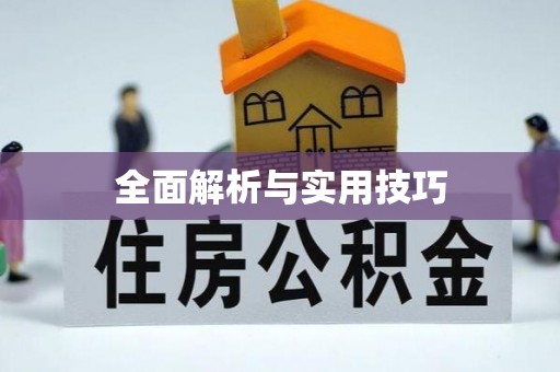 合山全面解析与实用技巧