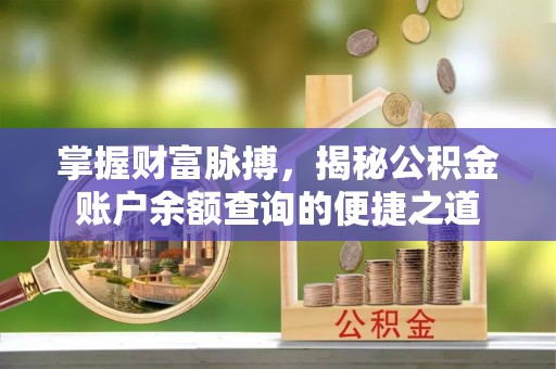 合山掌握财富脉搏，揭秘公积金账户余额查询的便捷之道