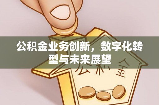 合山公积金业务创新，数字化转型与未来展望