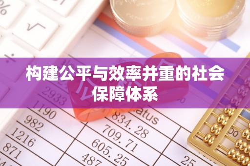 合山构建公平与效率并重的社会保障体系