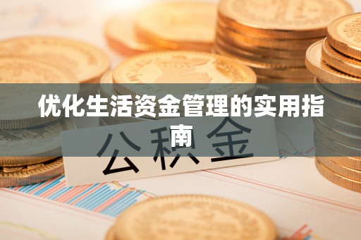 合山优化生活资金管理的实用指南
