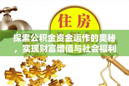 合山探索公积金资金运作的奥秘，实现财富增值与社会福利双赢