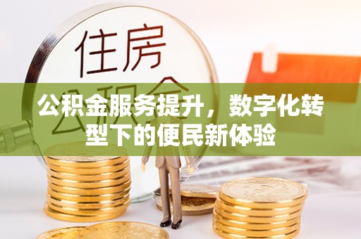 合山公积金服务提升，数字化转型下的便民新体验