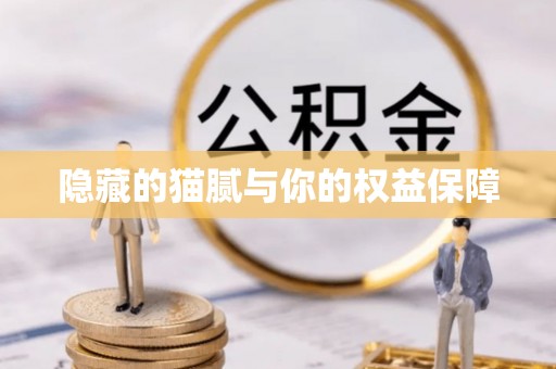 合山隐藏的猫腻与你的权益保障