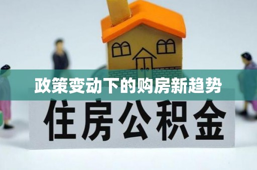 合山政策变动下的购房新趋势