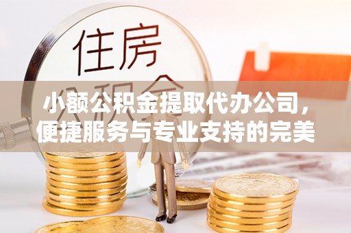 合山小额公积金提取代办公司，便捷服务与专业支持的完美结合