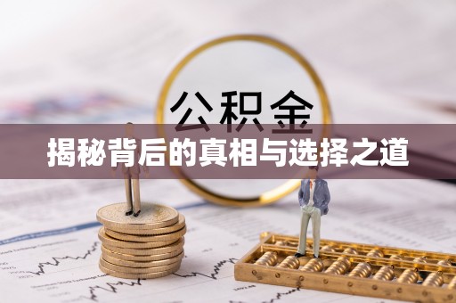 合山揭秘背后的真相与选择之道