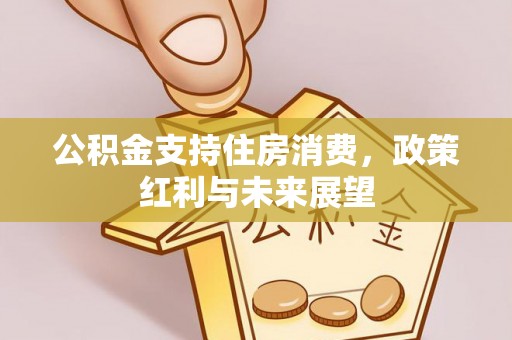 合山公积金支持住房消费，政策红利与未来展望