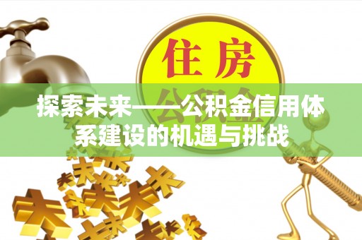 合山探索未来——公积金信用体系建设的机遇与挑战