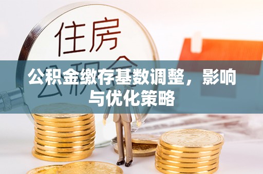 合山公积金缴存基数调整，影响与优化策略