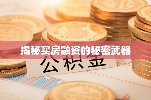 合山揭秘买房融资的秘密武器
