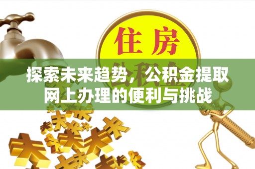 合山探索未来趋势，公积金提取网上办理的便利与挑战