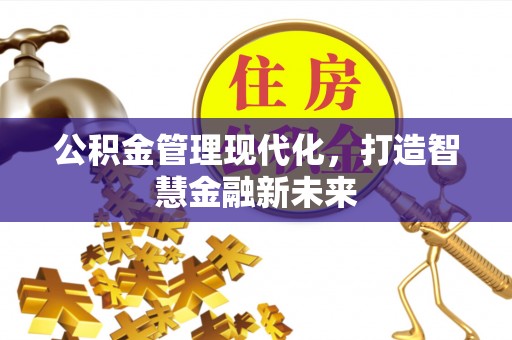 合山公积金管理现代化，打造智慧金融新未来