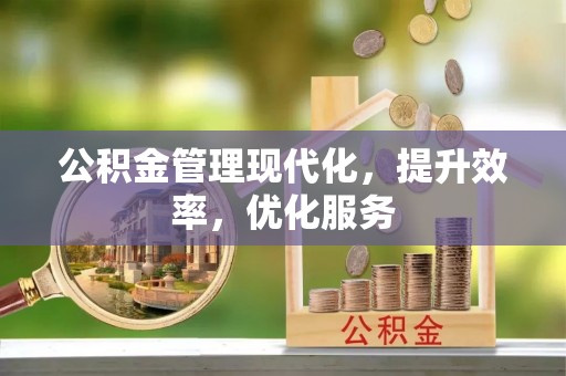 合山公积金管理现代化，提升效率，优化服务
