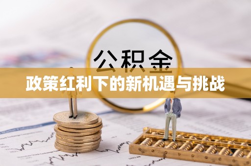 合山政策红利下的新机遇与挑战