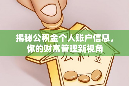 合山揭秘公积金个人账户信息，你的财富管理新视角