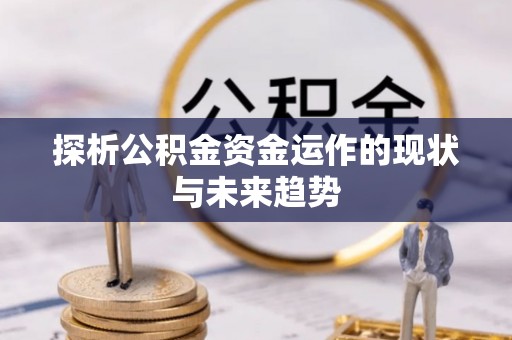 合山探析公积金资金运作的现状与未来趋势
