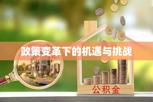 合山政策变革下的机遇与挑战