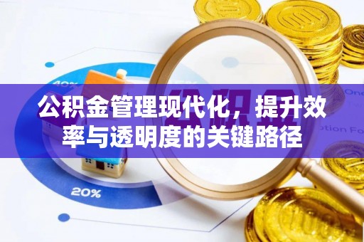 合山公积金管理现代化，提升效率与透明度的关键路径
