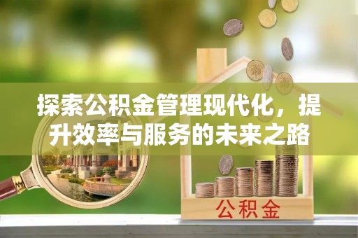 合山探索公积金管理现代化，提升效率与服务的未来之路