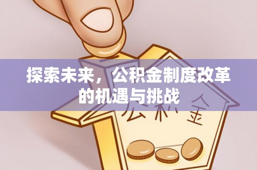合山探索未来，公积金制度改革的机遇与挑战