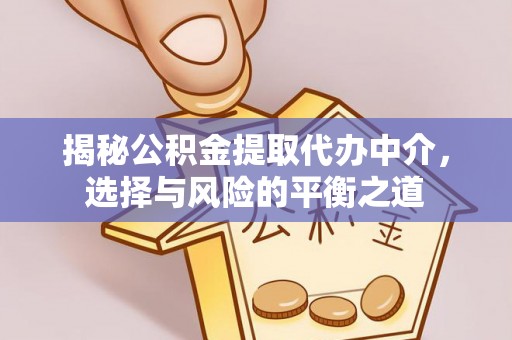合山揭秘公积金提取代办中介，选择与风险的平衡之道