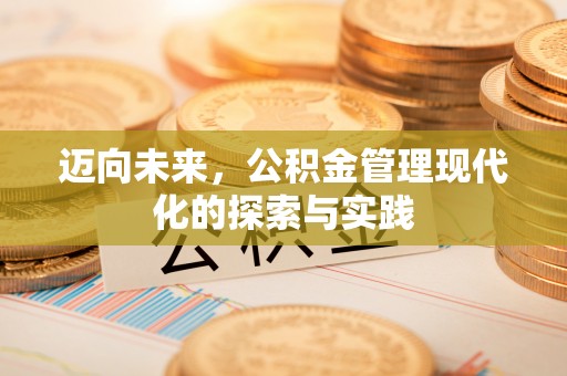 合山迈向未来，公积金管理现代化的探索与实践