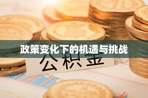 合山政策变化下的机遇与挑战