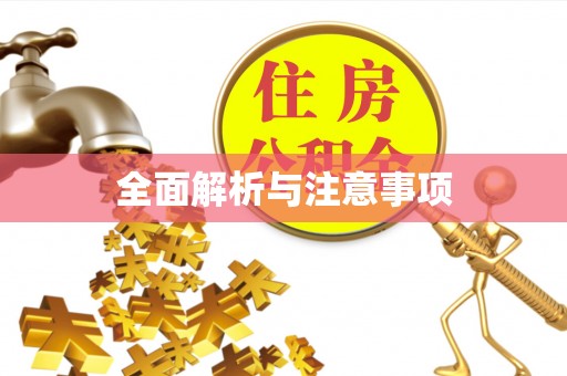 合山全面解析与注意事项