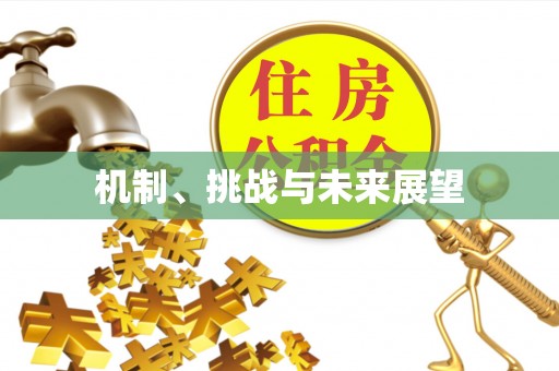合山机制、挑战与未来展望